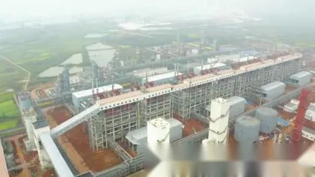 Circulating Fluidized Bed Gasifier 80000nm3/H Made in China 