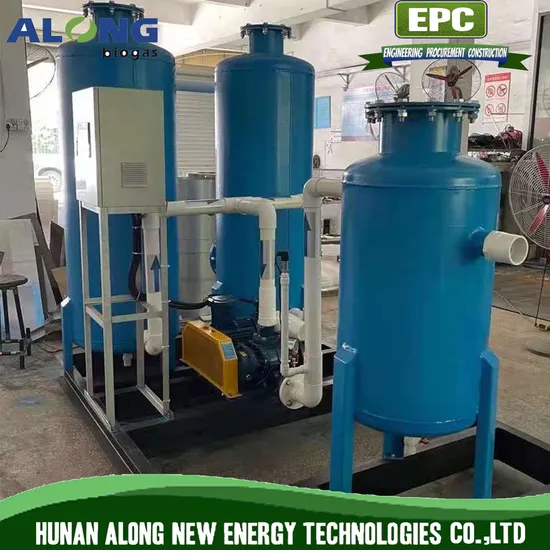Biogas Desulfurization System Scrubber/Desulfurizer Equipment 
