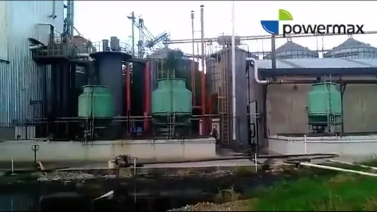 Industrial Waste Combustion Power Generation Gasifier 
