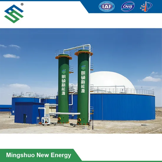 Fine Desulfurization Equipment for Biogas 